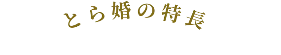 とら婚の特長